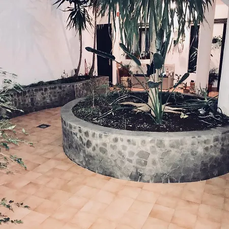 Terraza Vegueta